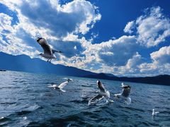 -丽江泸沽湖景区