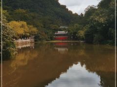 -黔灵山公园