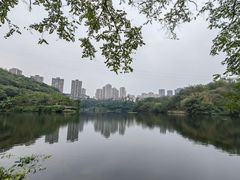 -重庆彩云湖湿地公园
