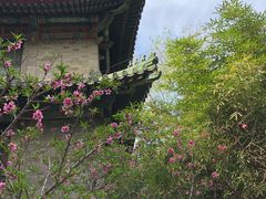 -北京协和医院(东单院区)