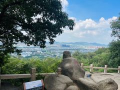 -灵岩山风景区