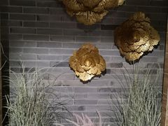 -Dragonfly 悠庭·按摩Spa(苏州中心广场店)