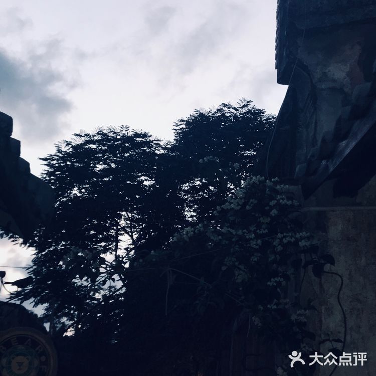 攻略 | 深圳小众游玩地