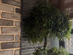 -野妹经典火锅(民治店)