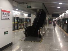 -杨高南路(地铁站)