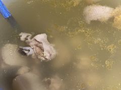 -盐帮食坊•小河帮川菜(四川师大店)