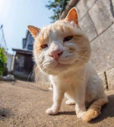 -E.beauty驻颜·痘敏肌调理中心