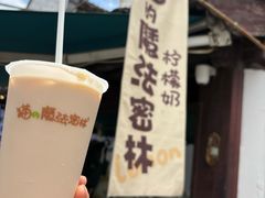 柠檬奶-猫的魔法密林(衣裳街店)