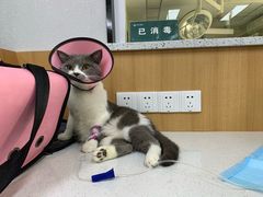 -联合动物医院(光谷诊疗中心)