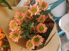 -BoBloom花店(晶耀前滩店)