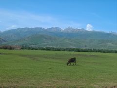 -新疆那拉提国家旅游度假区