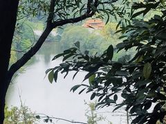 -三水森林公园