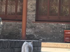 -窦大夫祠