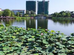 -西海子公园