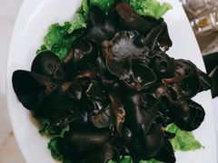 -清真军邺·金富苑肥牛(石坡街旗舰店)