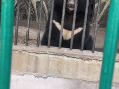 -保定市动物园