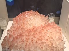 -天津自然博物馆