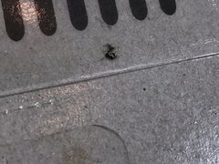 -喜士多便利店(打浦店)