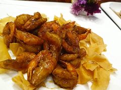 -顺德了能馆(虎门店)