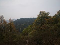 -桃花岭景区