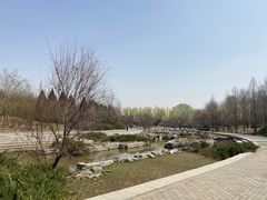 -大望京公园