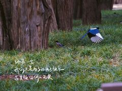 -东华门大街小区