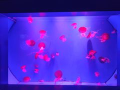 -皇家极地海洋世界-售票处