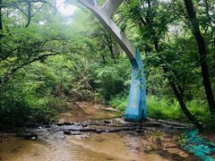 -大青沟风景区