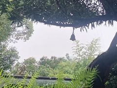 -恬阿姨庭院餐厅·生日宴