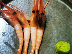 -一吉焼鸟·FOUNDER(桂林路店)