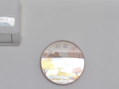 -刘大盲人推拿灸