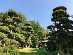 -南京东郊国宾馆