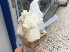 -柠檬车露(卖草地店)
