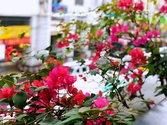 景观位-打趸BTC·Breaktime cafe(北京路店)