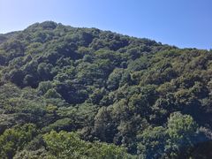 -香炉山国家森林公园