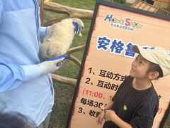 -红山体育乐园