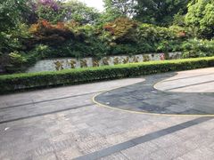 -重庆彩云湖湿地公园