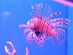 -石家庄极地海洋世界
