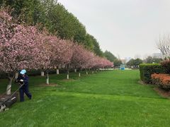 -辛亥革命博物院北区