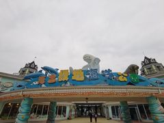 -海合安成都极地海洋公园