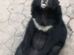 -无锡动物园·太湖欢乐园