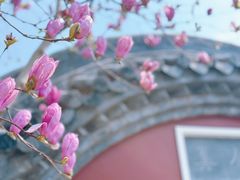 -长春观
