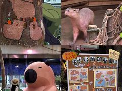 -正佳雨林生态植物园