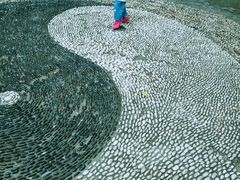 -上海佘山国家森林公园西佘山园