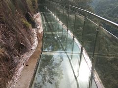 -九龙江国家森林公园