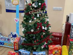 -乐博乐博少儿编程·机器人编程·信息学竞赛(杨浦五角场校区)