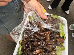 -关西瀑布