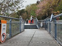 -佛山华盖山公园