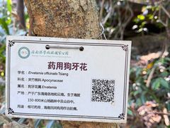 -海南热带雨林国家公园吊罗山景区