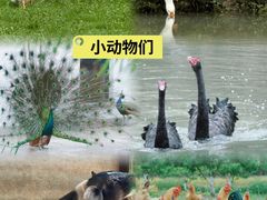 -乌村